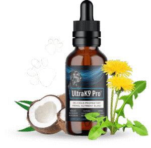 Scientists Finally Uncover The Secret
To A Longer Life For Your Pup