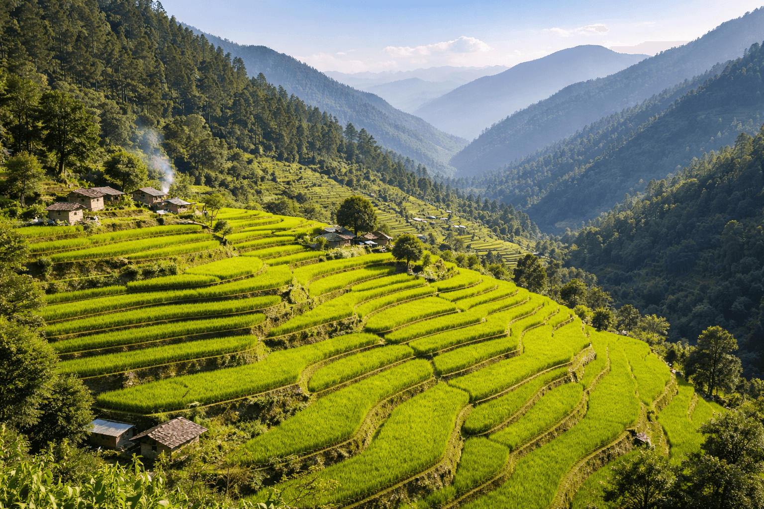 Mountain soil terraces of Uttarakhand
